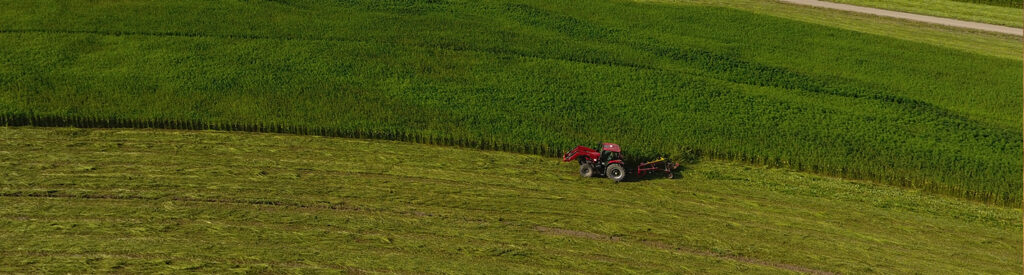 hemp harvesting