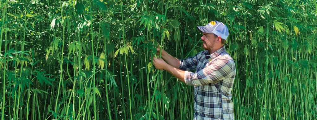 Hemp Farmer